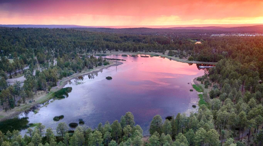 Woodland lake