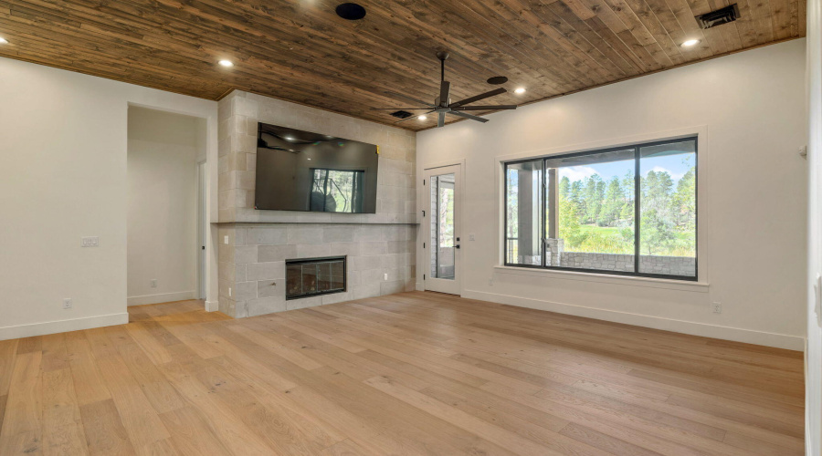 Lower Living Room