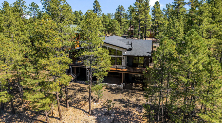 In the Pines