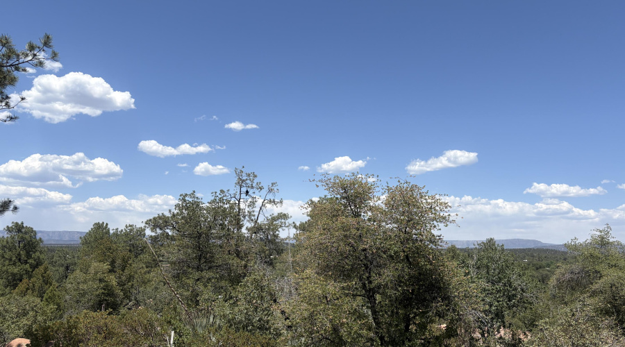 Panoramic Views of the Rim
