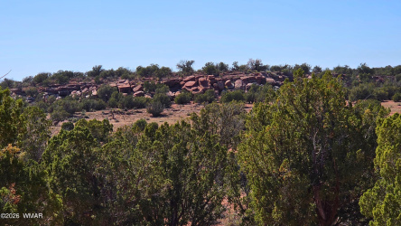 9880 Texas Lane, Show Low, Arizona 85901, ,Land,For Sale,Texas,261261