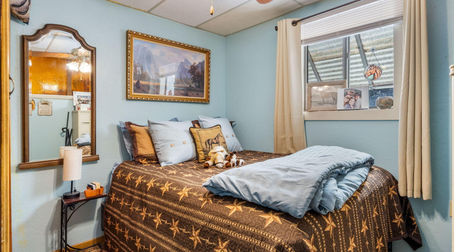 2893HolidayForestDr-Overgaard-AZ-14