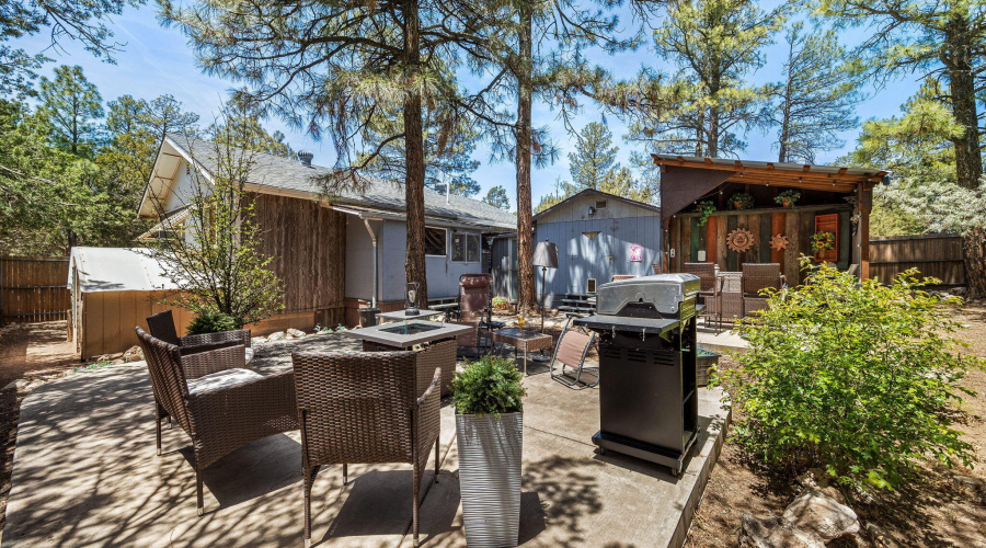 2893HolidayForestDr-Overgaard-AZ-17