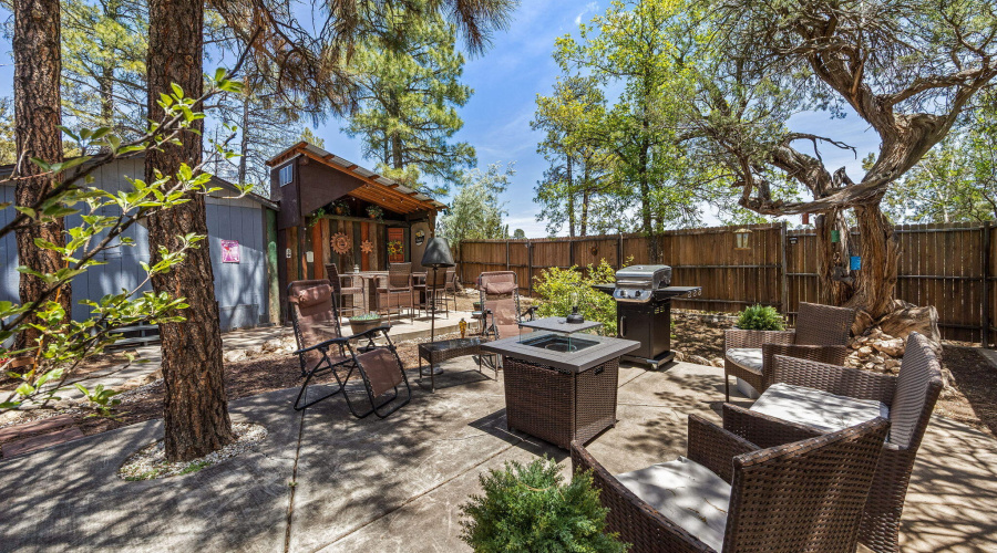 2893HolidayForestDr-Overgaard-AZ-18