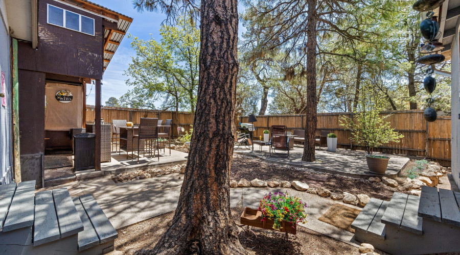 2893HolidayForestDr-Overgaard-AZ-19
