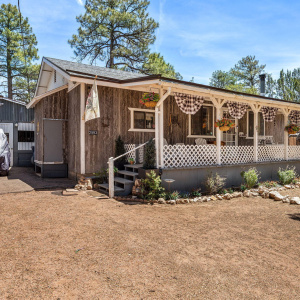 2893HolidayForestDr-Overgaard-AZ-1