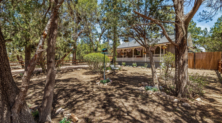 2893HolidayForestDr-Overgaard-AZ-4
