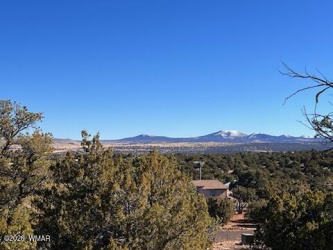Lot 002P N8689, Concho, Arizona 85924, ,Land,For Sale,N8689,261059