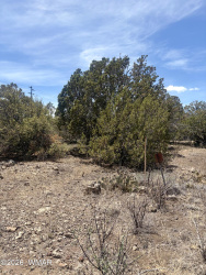 8301 Ridge Drive, Show Low, Arizona 85901, ,Land,For Sale,Ridge,261267