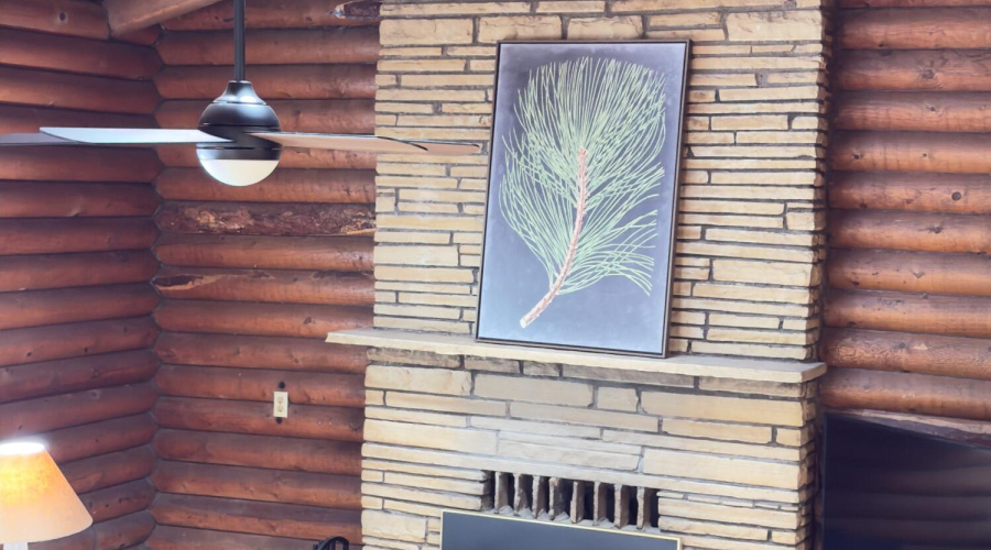 Fireplace of stone