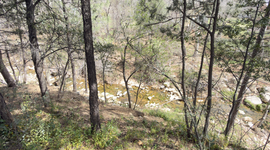 Creek