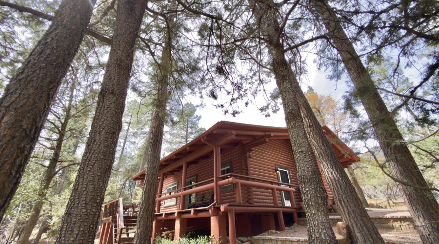 Cabin by the creek