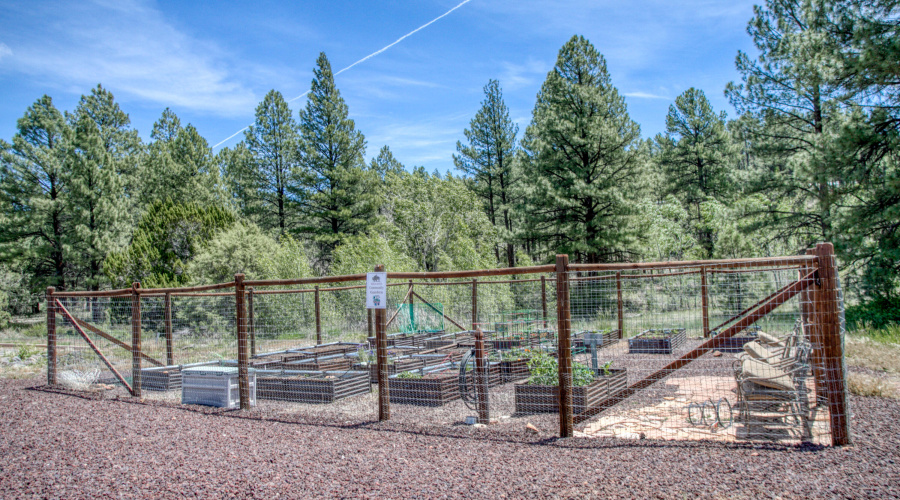 Community Garden