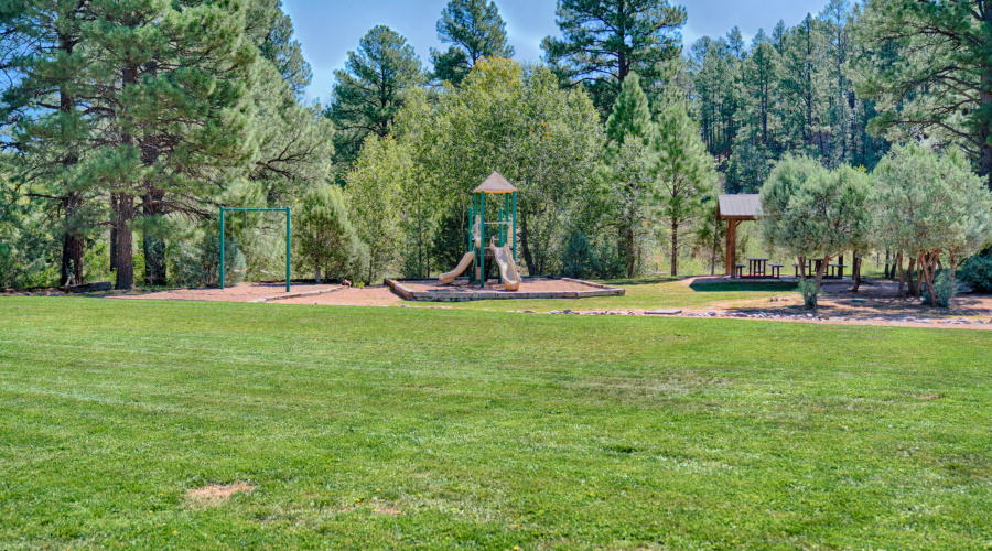 Grass Area
