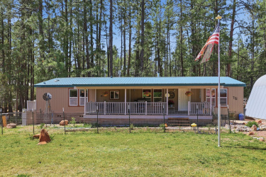 715 Standage Drive, Payson, Arizona 85541, Bedrooms, ,Bathrooms,Residential,For Sale,Standage,94073
