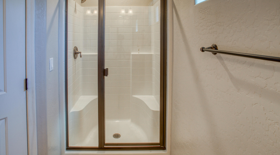Primary Shower