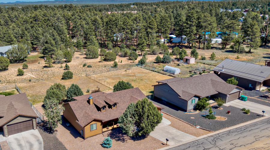 Drone Street View