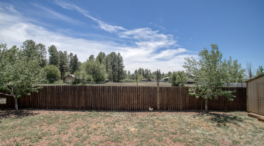 Yard View