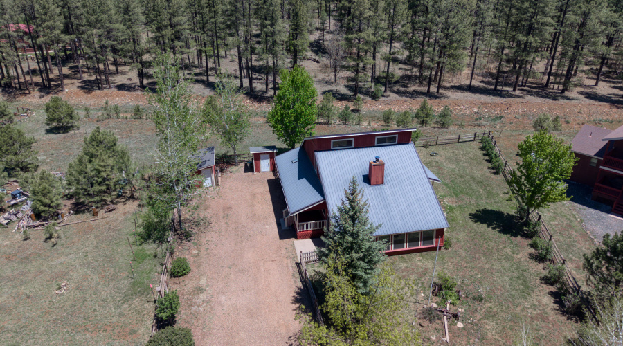Drone to Forest