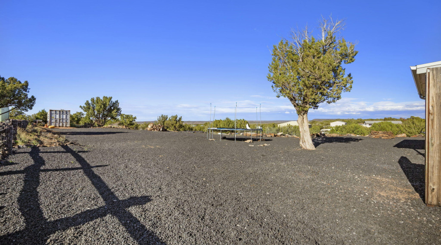2596ElkRunLoop-ShowLow-AZ-26