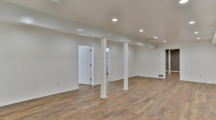 Basement Entertainment Room