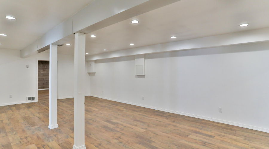 Basement Entertainment Room