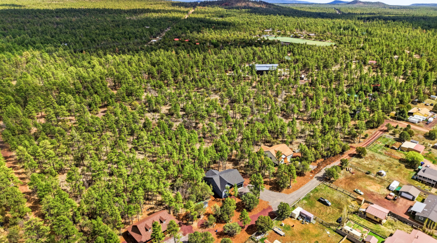 2419CimatarioDr-Lakeside-AZ-31