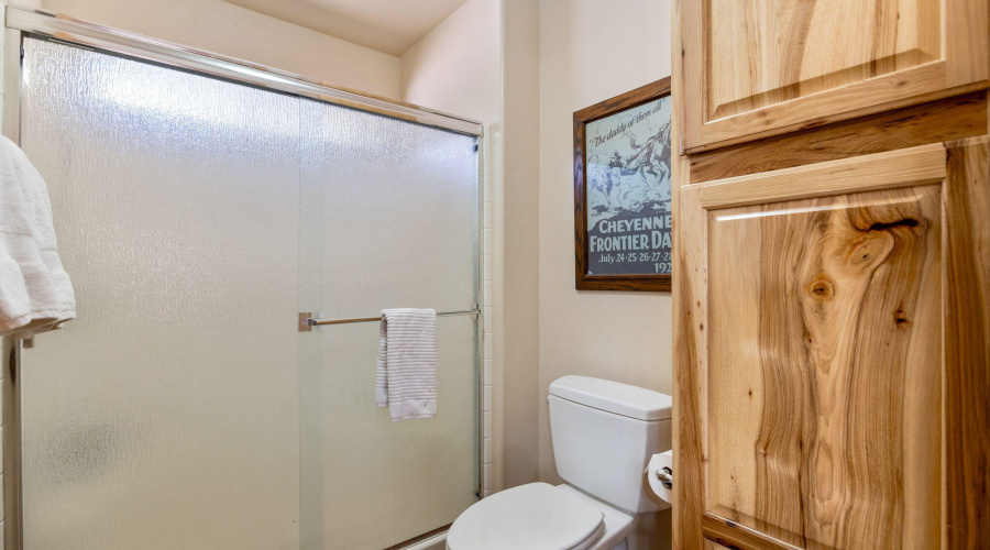 OWNERS BATH TOILET/SHOWER ROOM