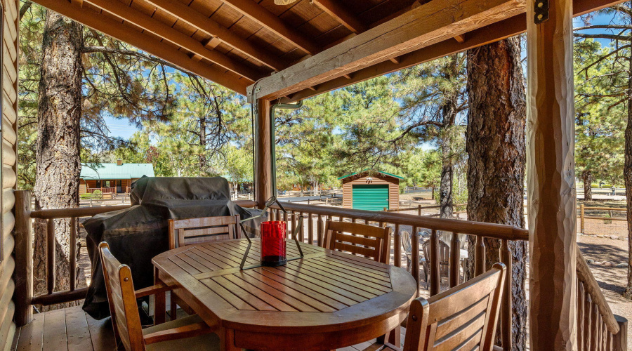 BACK PATIO