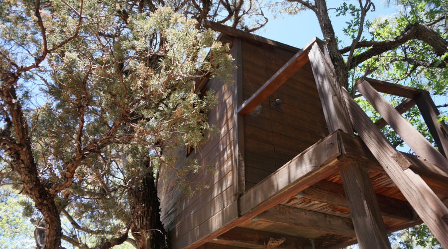 Treehouse
