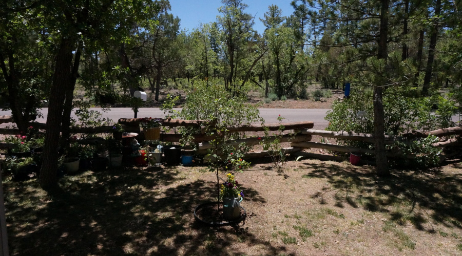 Front Yard