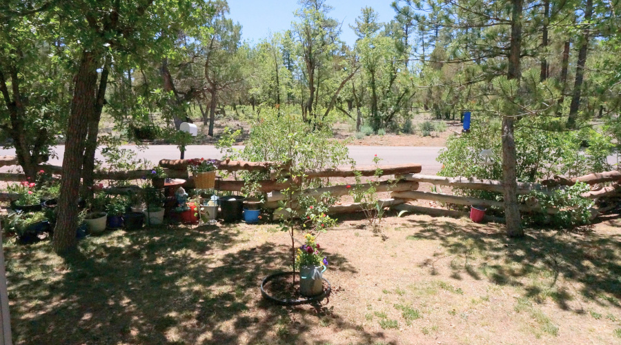 Front Yard