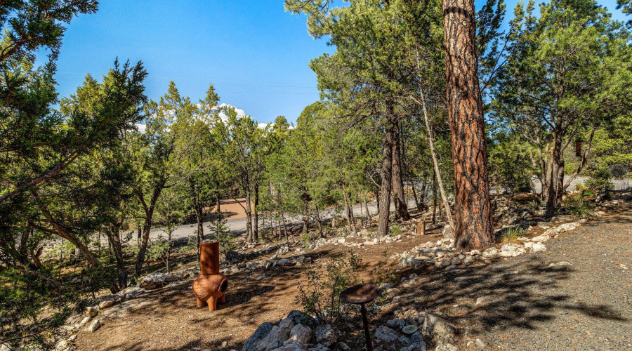 3370TurkeyRun-Heber-AZ-22