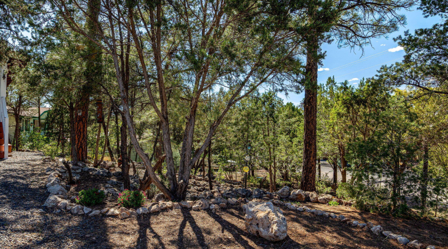 3370TurkeyRun-Heber-AZ-23