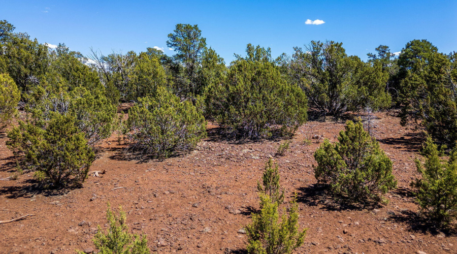 133-127-N3314-VernonAZ-2