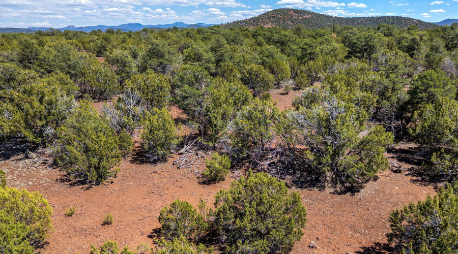 133-127-N3314-VernonAZ-3