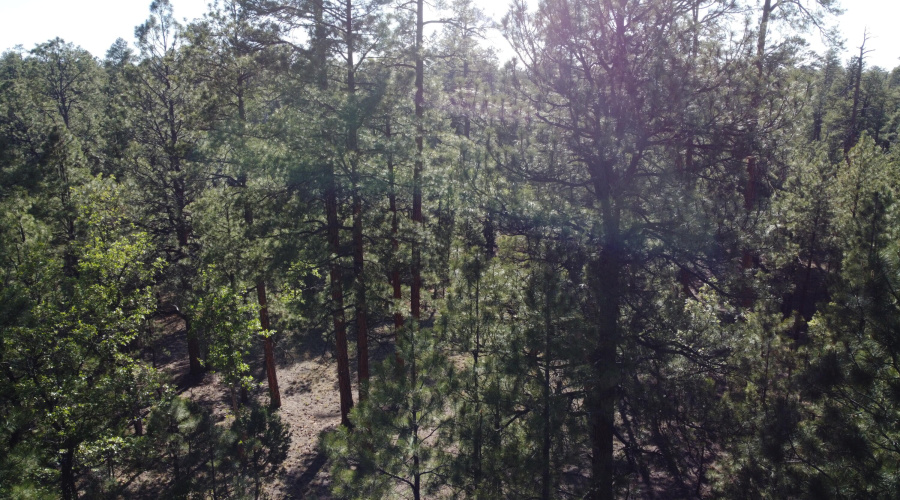 DJI_0626