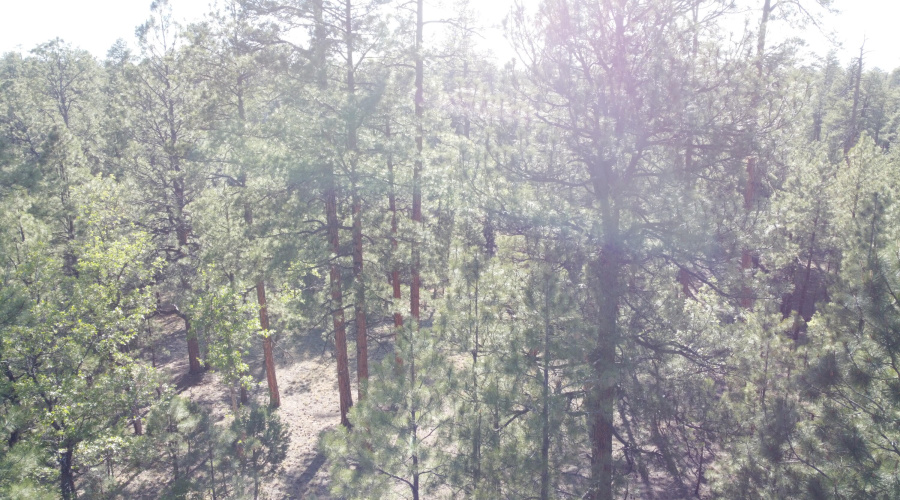 DJI_0627