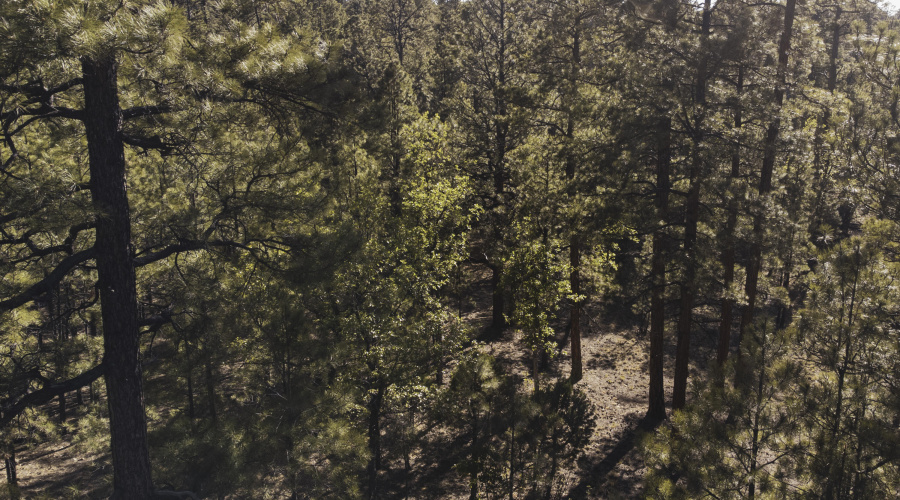 DJI_0628
