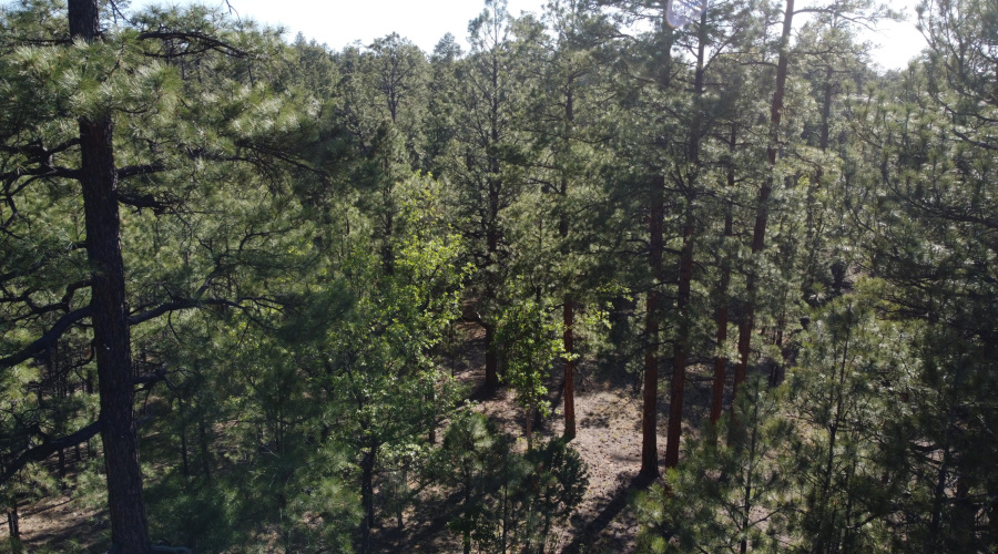 DJI_0629