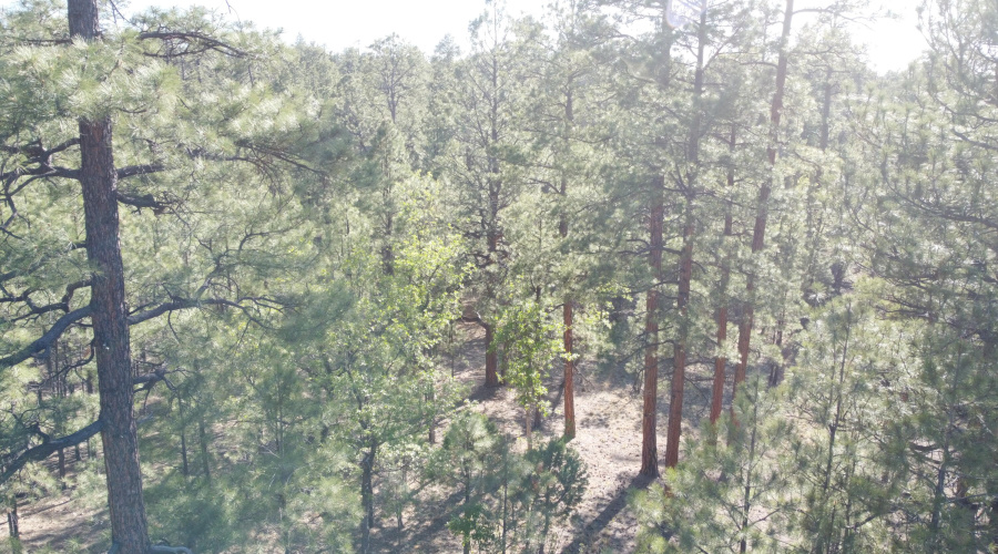 DJI_0630