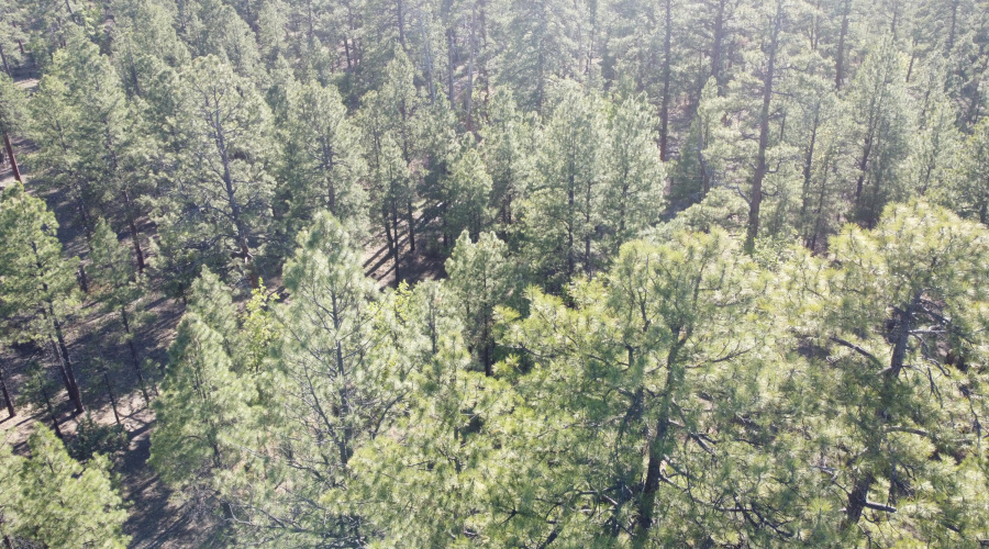 DJI_0633