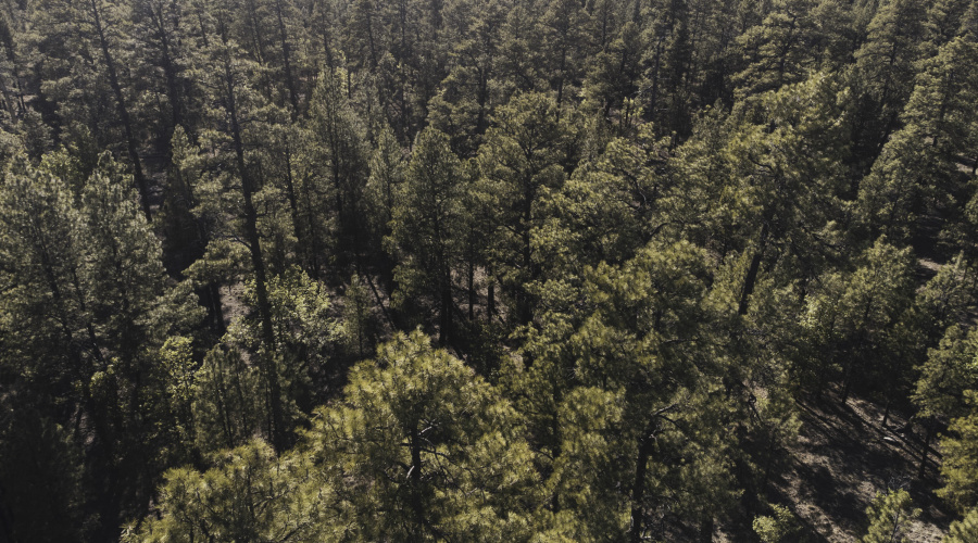DJI_0635