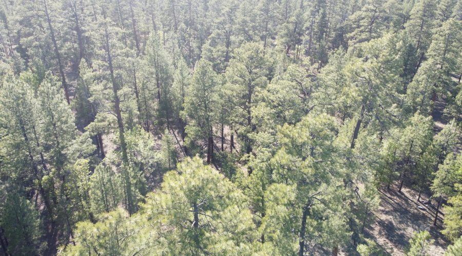 DJI_0636