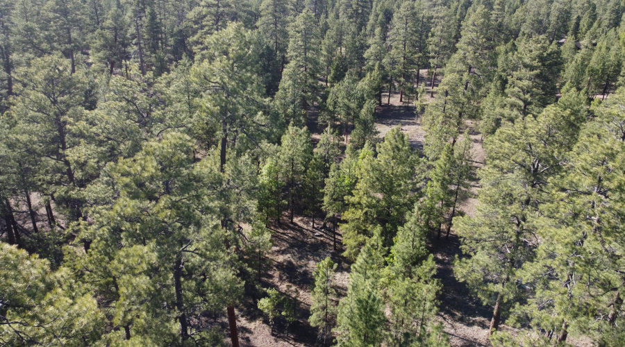 DJI_0637