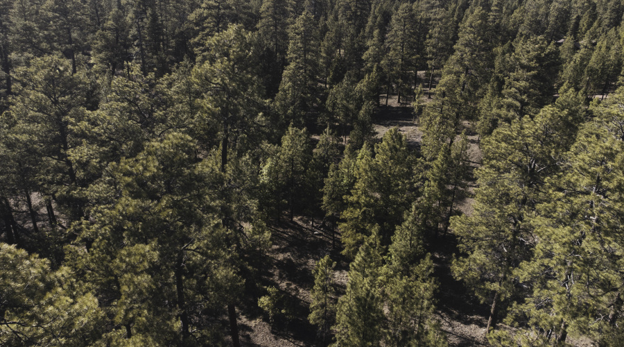 DJI_0638