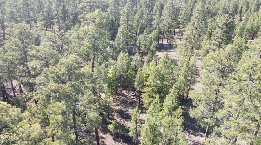 DJI_0639