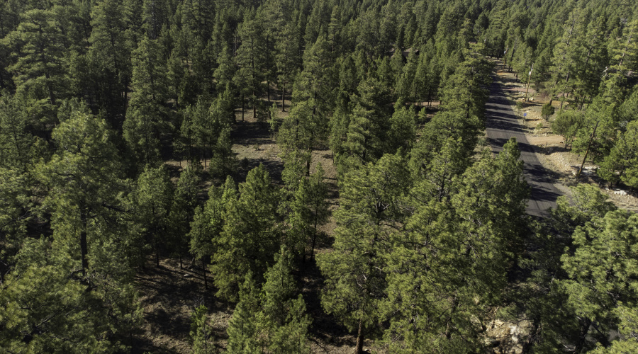 DJI_0640