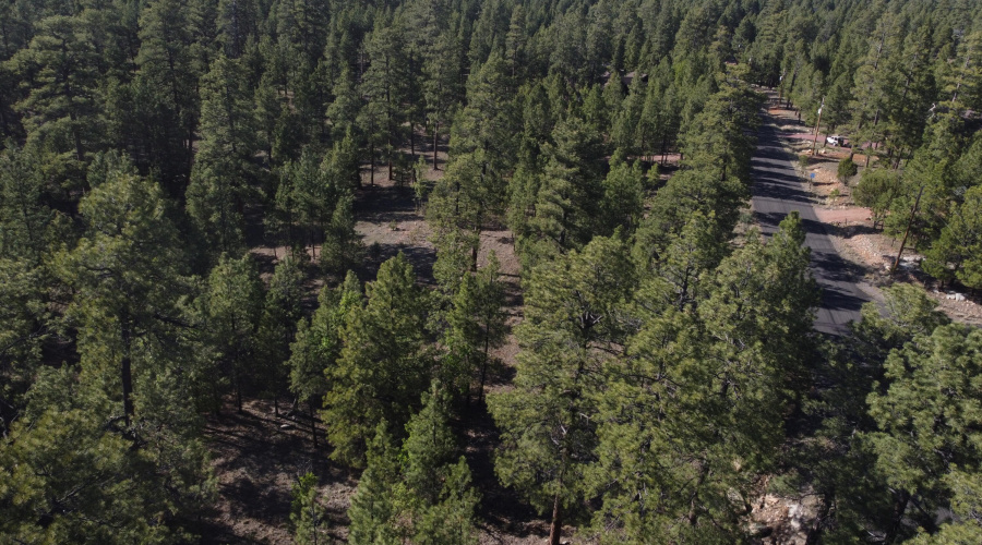 DJI_0641