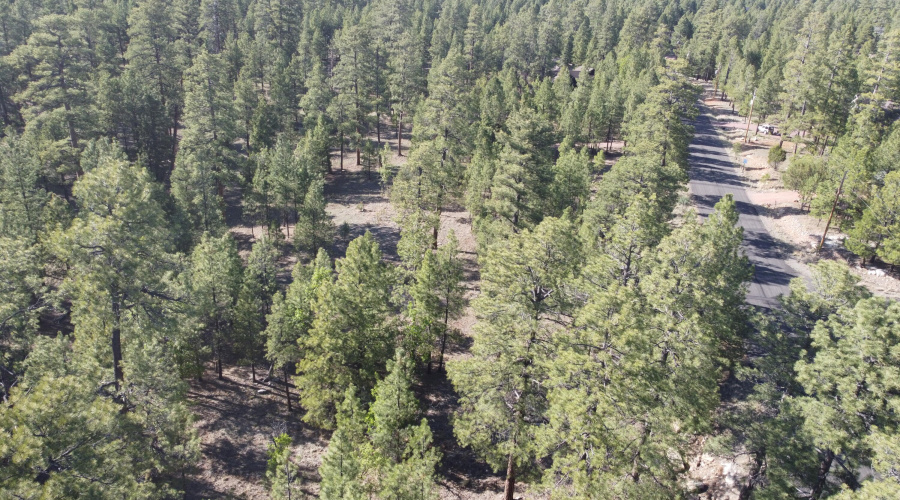 DJI_0642